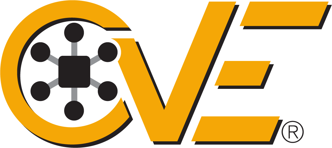 What is a CVE and why is it important?